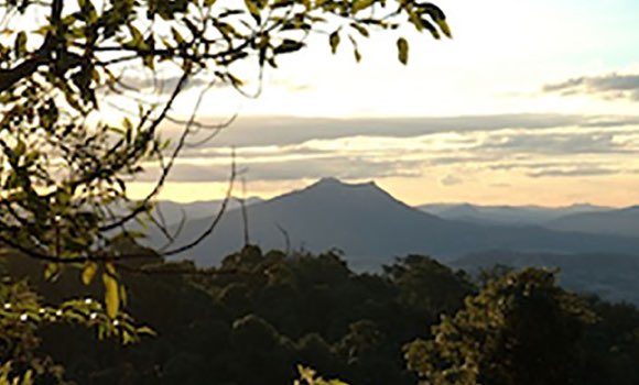 Wild Mountains Trust - Rathdowney Queensland